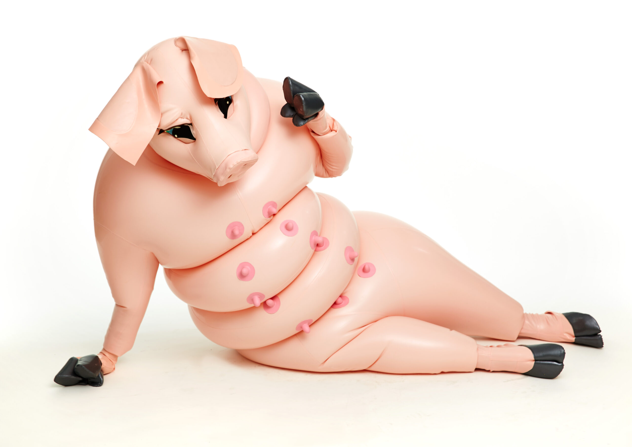 A pig made from latex sits on a white floor, waving at the camera. 
